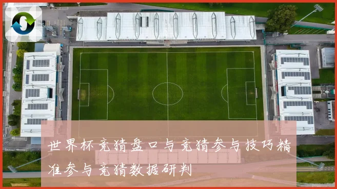 世界杯竞猜盘口与竞猜参与技巧精准参与竞猜数据研判