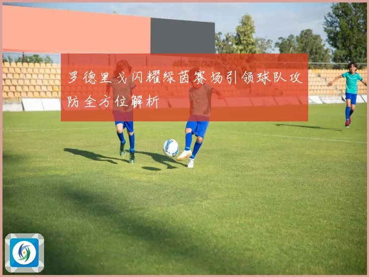 罗德里戈闪耀绿茵赛场引领球队攻防全方位解析